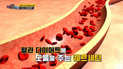 혈관 다이어트에 도움? 시서스 속 [퀘르세틴]