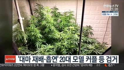 Télécharger la video: '대마 재배·흡연' 20대 모델 커플 등 검거