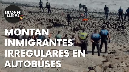 Más AUTOBUSES a la espera de INMIGRANTES IRREGULARES en ARGUINEGUIN