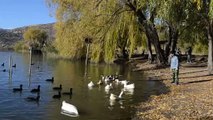 ADIYAMAN - Gölbaşı Gölleri Tabiat Parkı'nda sonbahar güzelliği
