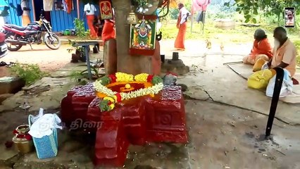கொல்லிமலை மாணிக்க சித்தர் குரு பூஜை Kollimalai manikka sidthar
