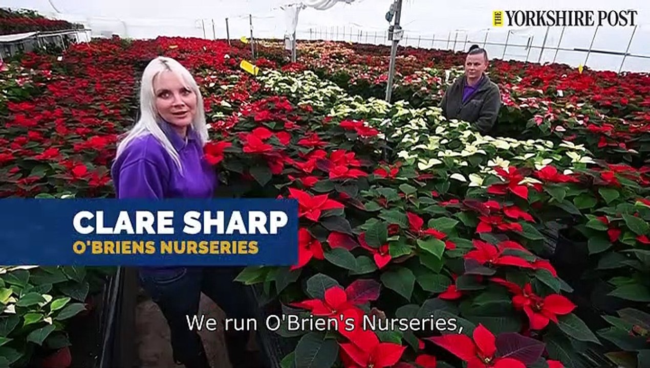 O'Briens Nurseries Hull