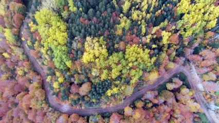 DÜZCE - Yüksek kesimlerde iki mevsim bir arada yaşanıyor