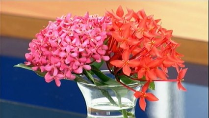 Headlines with Fazeer Mohammed- 24/1/2019