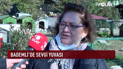 Onların aradığı sevgi… Türkiye’nin en büyük ‘gönüllü’ hayvan barınağı