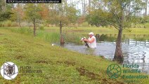 Puppy rescued from jaws of alligator in Florida