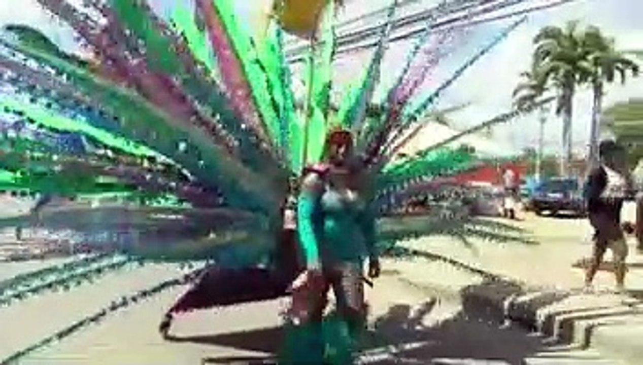 Carnival Update
