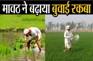 अब तक हुई तय लक्ष्य की 60 फीसदी बुवाई