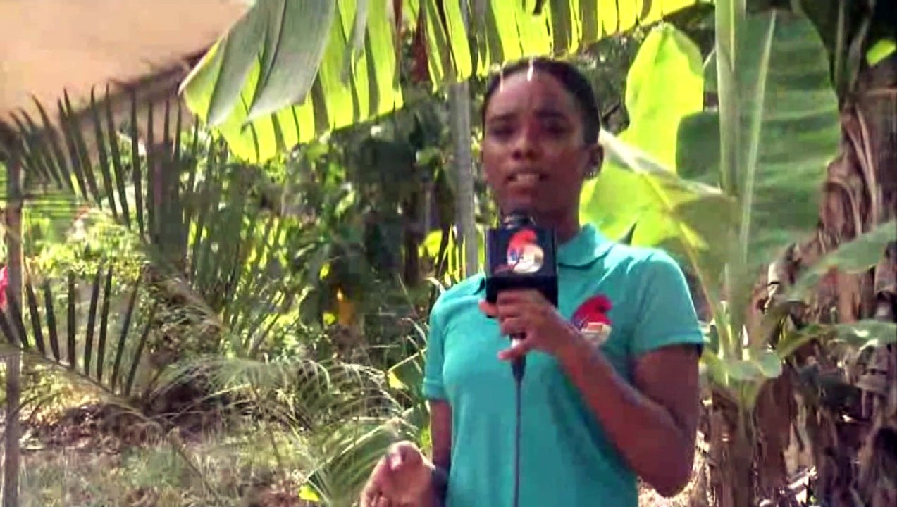 Good Friday Bobolee In Maraval
