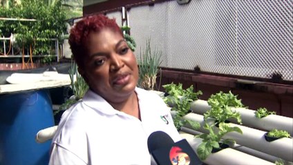 Inside Business: Green Thumb Growers TT