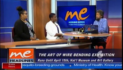 The Art Of Wire Bending Exhibition Part 2