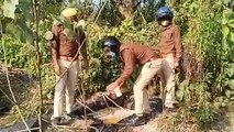 धौराहरा पुलिस ने अवैध कच्ची शराब के खिलाफ चलाया अभियान, 3500 लीटर लहन नष्ट, दो अभियुक्त गिरफ्तार