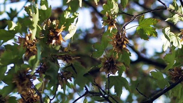 European Sustainable Development Week at Havas Village Paris