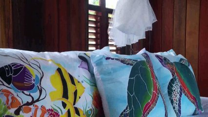 Dominica; Resilience and Recovery