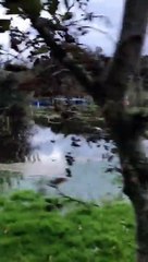 Bleach Lough County Limerick