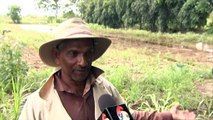 Aranguez Farmers Affected By Floods