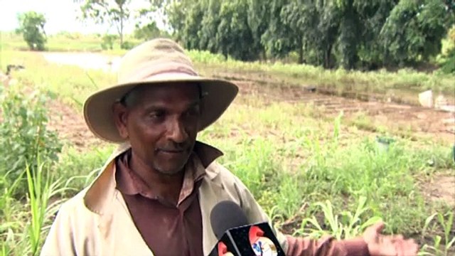 Aranguez Farmers Affected By Floods