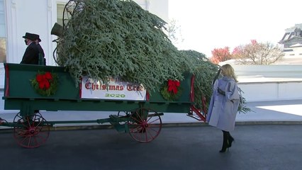 Árvore de natal presidencial