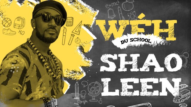 J'AI PAS EU DE MEILLEUR POTE DURANT MON PARCOURS SCOLAIRE - SHAOLEEN