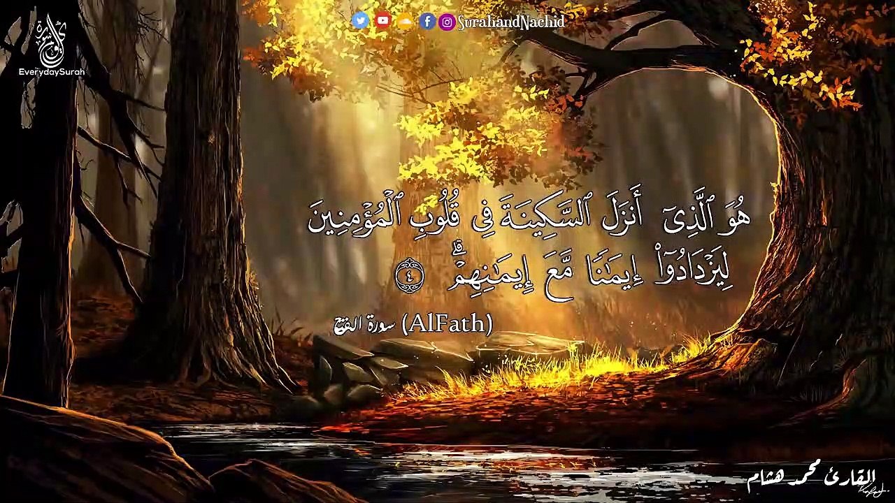 آيات السكينة  تلاوة هادئة تريح الاعصاب ارح قلبك بالقران  بصوت جميل جدا سبحان من رزقه هذا الصوت  HD