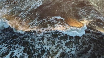 Ocean Rebel X Mena Massoud Capsule Collection