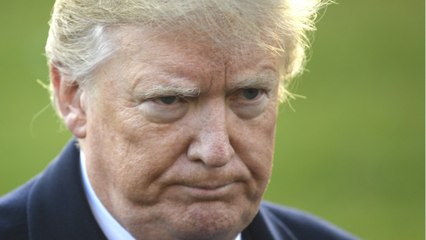 Michigan Won't Be Helping Trump Overturn Election