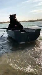 Archie the Brown Bear Rows His Boat
