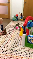 Monkey and Baby Share Their Toys