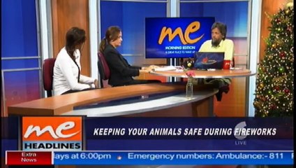 8 - Keeping your animals safe during fireworks