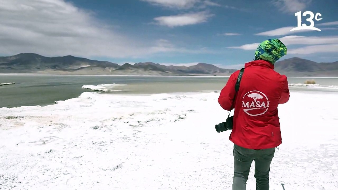 Los preciosos flamencos en el Salar de Huasco _ Ruta 5