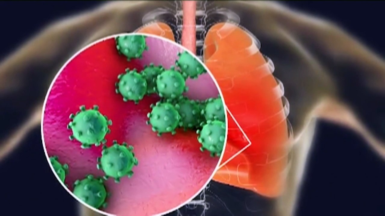 Coronavirus Health Protocols