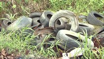 Illegal tyre dumping 20TH_FEB_2020