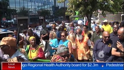 Black Power Revolution