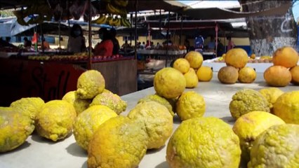 Further Escalation in Food Prices in Coming Weeks