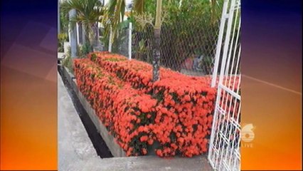 5 - COVID-19 regulations impact on business:  Part 1 of 2