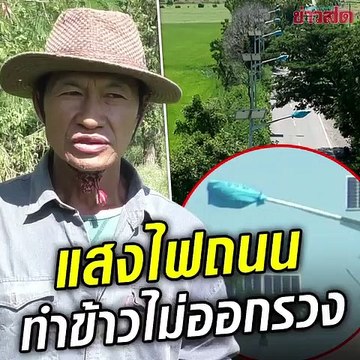 ชาวนาเดือดร้อนหนัก ข้าวไม่ออกรวง เพราะไฟถนน!