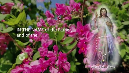 Divine Mercy 18th April