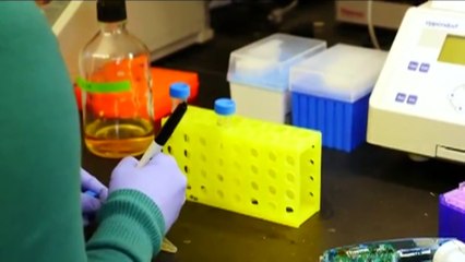 Surveillance Testing For Covid19 Begins