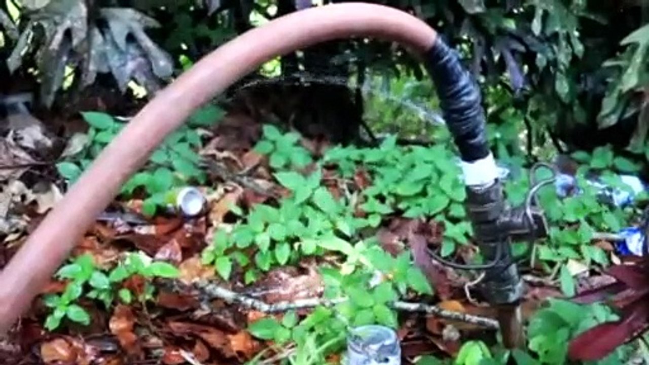 Tableland Wants Water