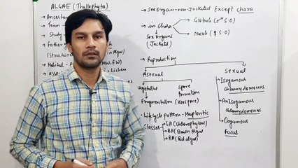 Algae(Thallophyta) General Features-Plant Kingdom