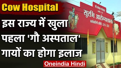Assam में खुला पहला नॉर्थईस्ट का  Cow Hospital, बीमार गायों का होगा इलाज | वनइंडिया हिंदी