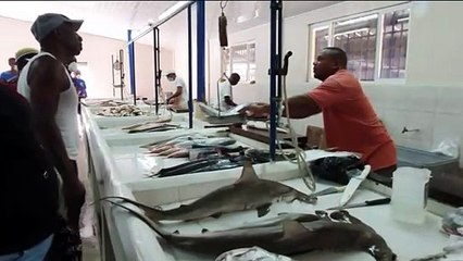 MORE REGULATIONS COMING FOR FISHING INDUSTRY