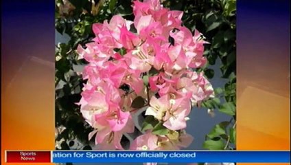 News Headlines with Fazeer