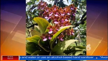 News Headlines with Fazeer