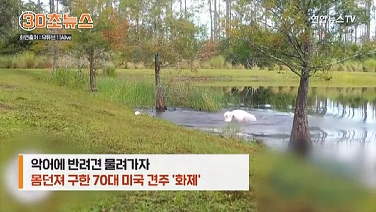 [30초뉴스] 74세 할아버지 맨손으로 악어 입 벌려 반려견 구해
