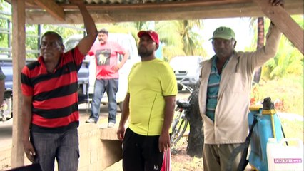 Aranguez Farmers Are Tired Of Waiting