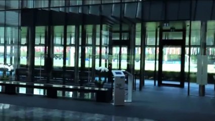 Downer Says Constitution Will Stand