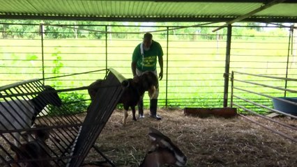 BUDGET HOPES FOR FARMERS
