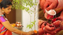 Tulsi Vivah 2020 : तुलसी विवाह के अनुष्ठान से मिलता है कन्यादान के पुण्य का फल । जानिए कैसे ।Boldsky