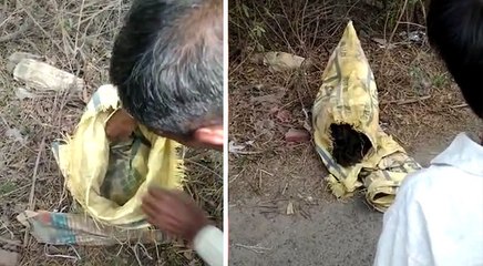 मेरठ: तीन बोरी, फिर कंबल में लपेटकर सड़क पर फेंकी गई नवजात बच्ची, अब CCTV खंगाल रही पुलिस